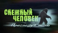 Игра «Снежный человек. Преследуя тень»